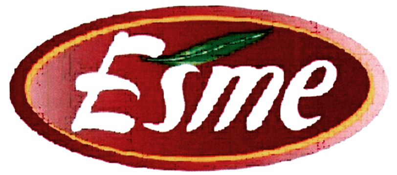 Trademark Logo ESME