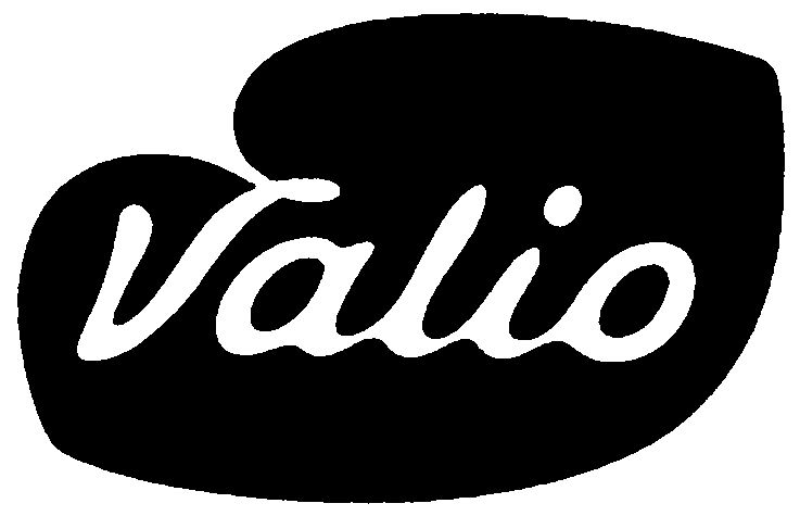 Trademark Logo VALIO