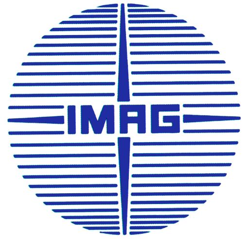 Trademark Logo IMAG