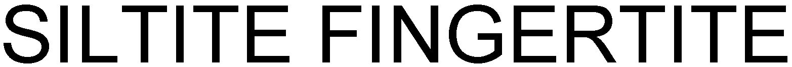 Trademark Logo SILTITE FINGERTITE
