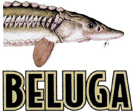 Trademark Logo BELUGA