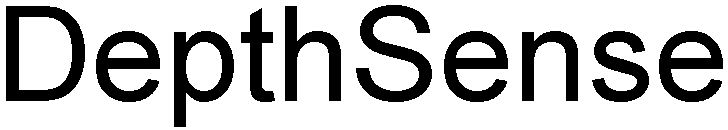 Trademark Logo DEPTHSENSE