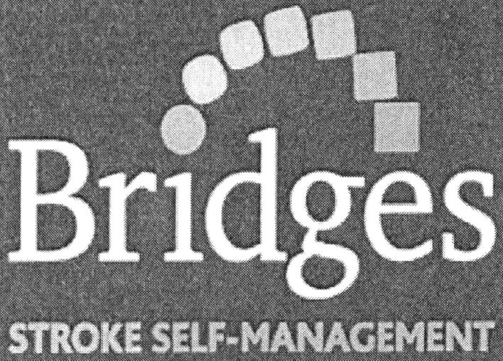  BRIDGES STROKE SELF-MANAGEMENT