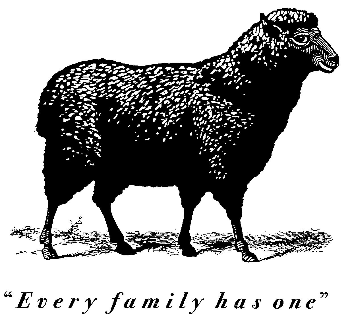  "EVERY FAMILY HAS ONE"