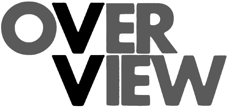 Trademark Logo OVERVIEW