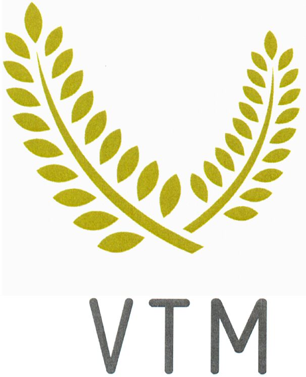 Trademark Logo VTM