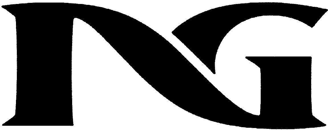 Trademark Logo NG