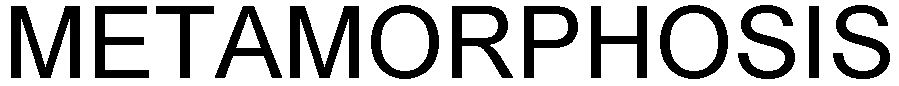 Trademark Logo METAMORPHOSIS