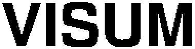 Trademark Logo VISUM