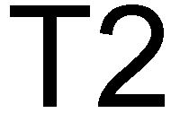 Trademark Logo T2