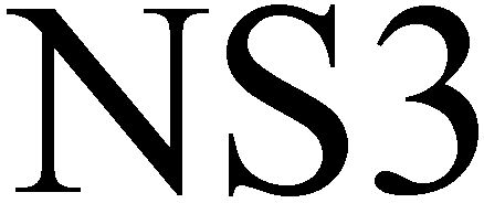  NS3