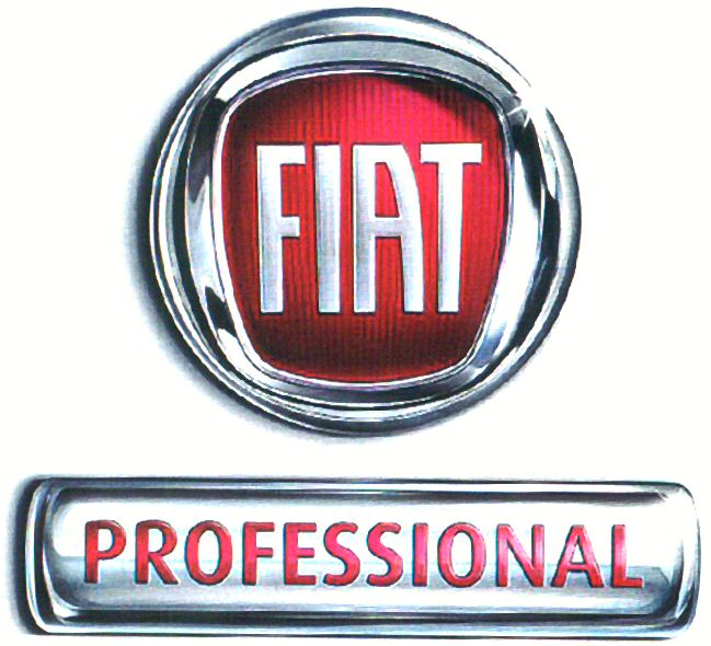  FIAT PROFESSIONAL