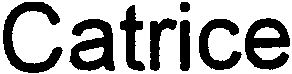 Trademark Logo CATRICE