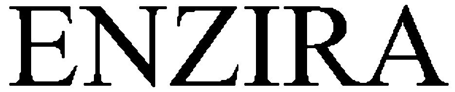 Trademark Logo ENZIRA