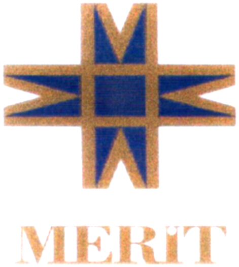 Trademark Logo MERIT