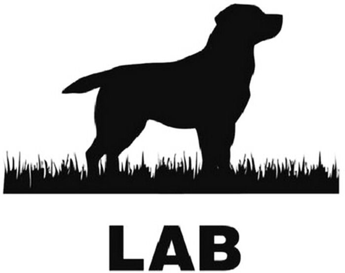 Trademark Logo LAB