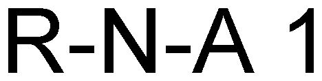  R-N-A 1