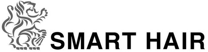 Trademark Logo SMART HAIR
