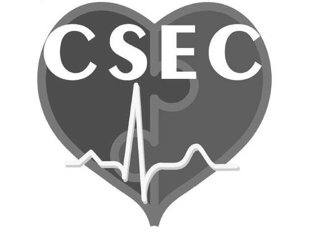  CSEC