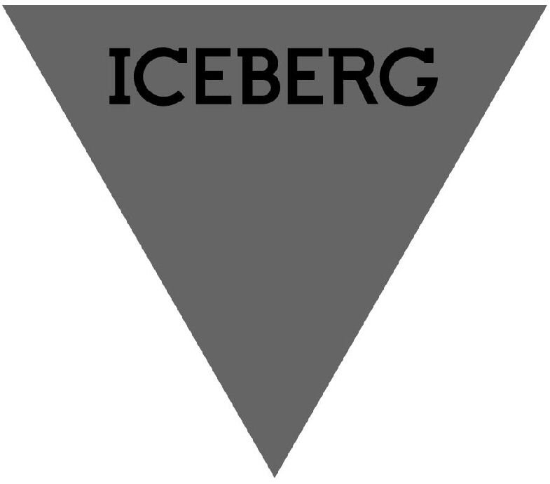  ICEBERG