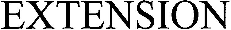 Trademark Logo EXTENSION