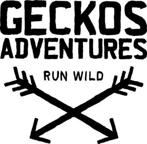  GECKOS ADVENTURES RUN WILD