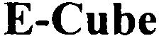Trademark Logo E-CUBE