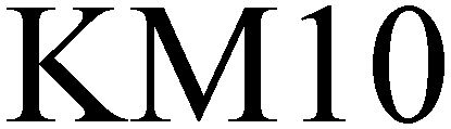 Trademark Logo KM10
