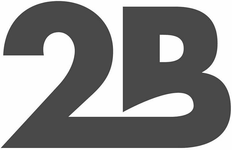 Trademark Logo 2B
