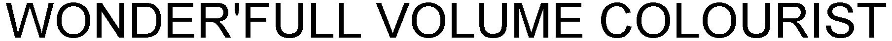 Trademark Logo WONDER'FULL VOLUME COLOURIST