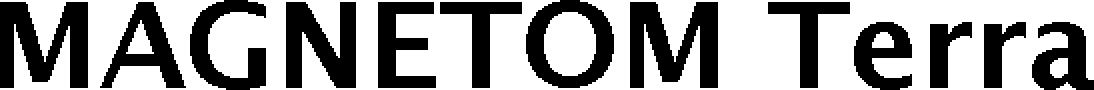 Trademark Logo MAGNETOM TERRA
