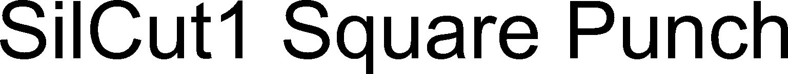 Trademark Logo SILCUT1 SQUARE PUNCH