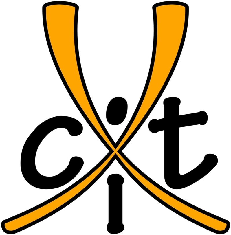 Trademark Logo XCIT