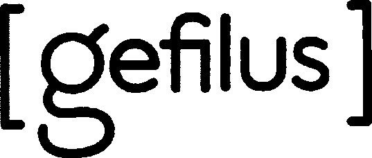 Trademark Logo [GEFILUS]