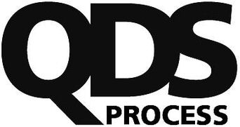  QDS PROCESS