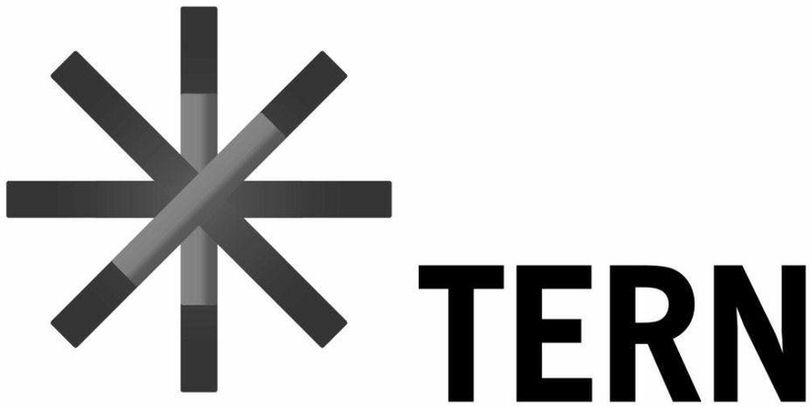 Trademark Logo TERN