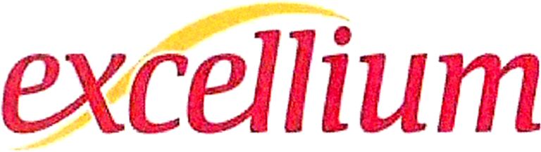 Trademark Logo EXCELLIUM