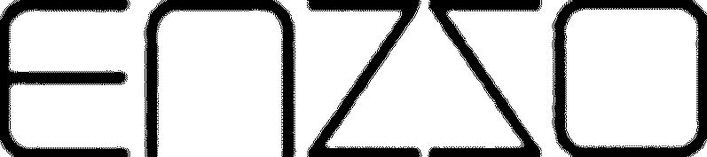 Trademark Logo ENZSO