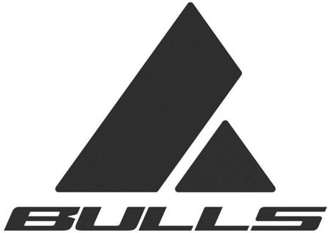 Trademark Logo BULLS