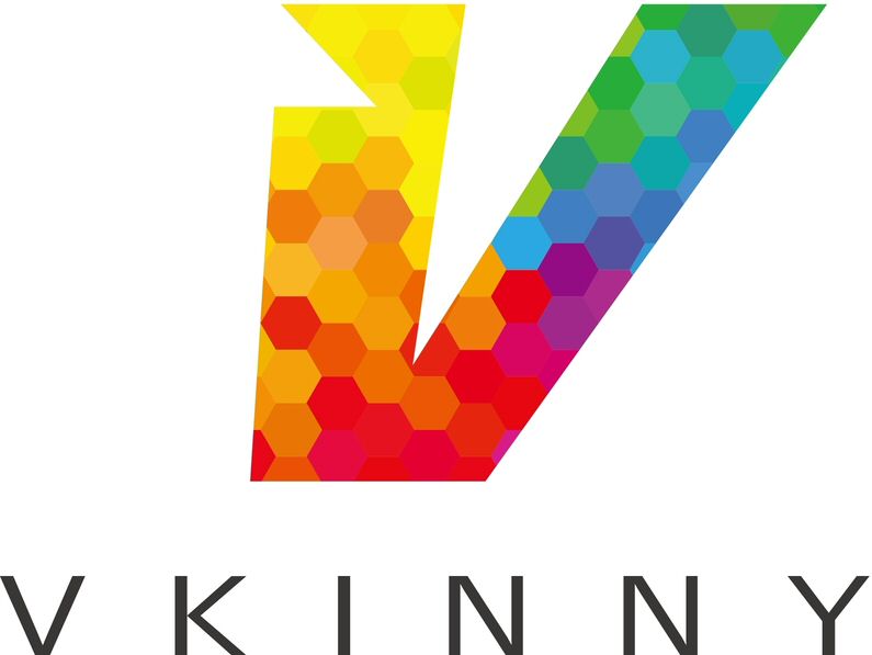 Trademark Logo V VKINNY