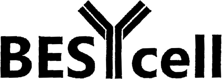 Trademark Logo BESYCELL
