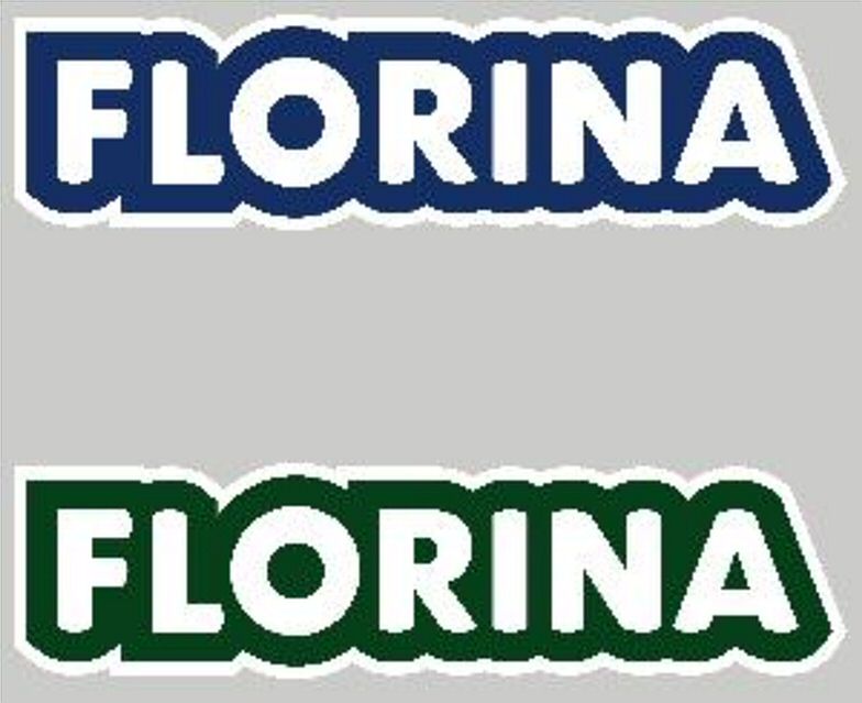 Trademark Logo FLORINA FLORINA