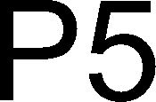 Trademark Logo P5