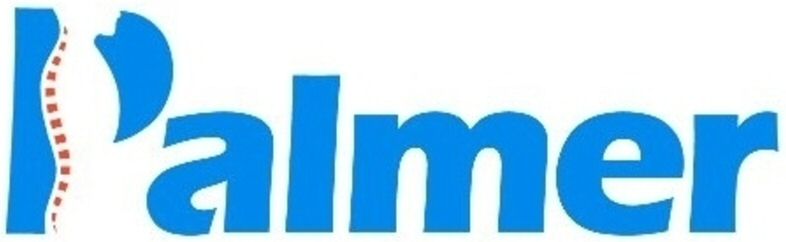 Trademark Logo PALMER