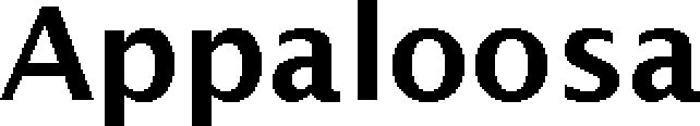Trademark Logo APPALOOSA