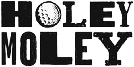 Trademark Logo HOLEY MOLEY