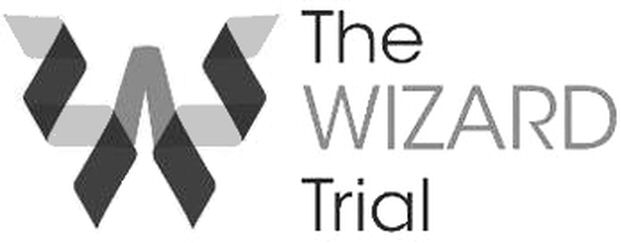  THE WIZARD TRIAL
