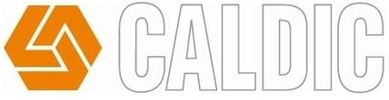 Trademark Logo CALDIC