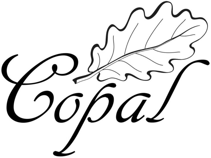 Trademark Logo COPAL