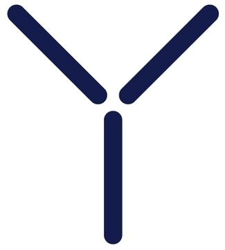 Trademark Logo Y